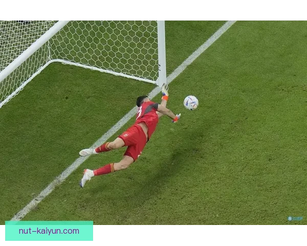 罗德里戈 点球命中率分析 与赛事表现有何关联