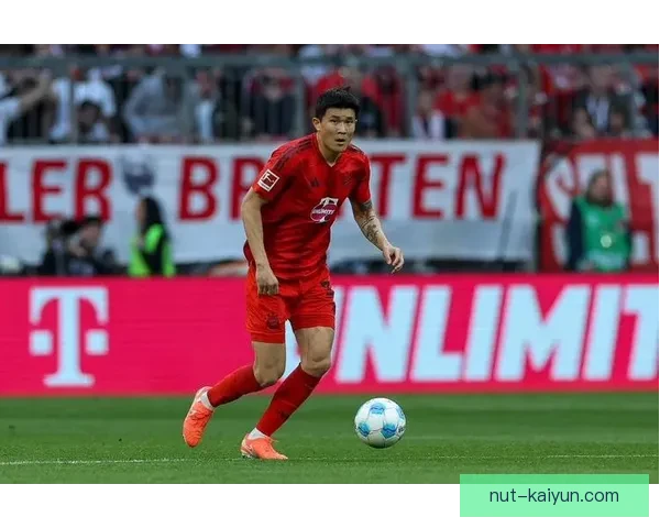 金玟哉与于帕梅卡诺对比分析：各自防守能力及赛季表现特点